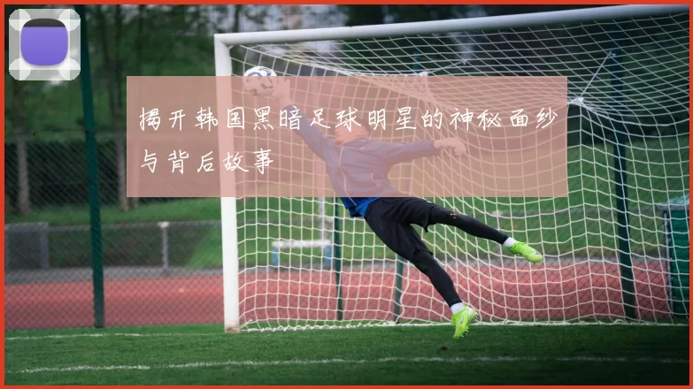 揭开韩国黑暗足球明星的神秘面纱与背后故事