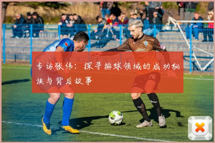 专访张伟：探寻排球领域的成功秘诀与背后故事