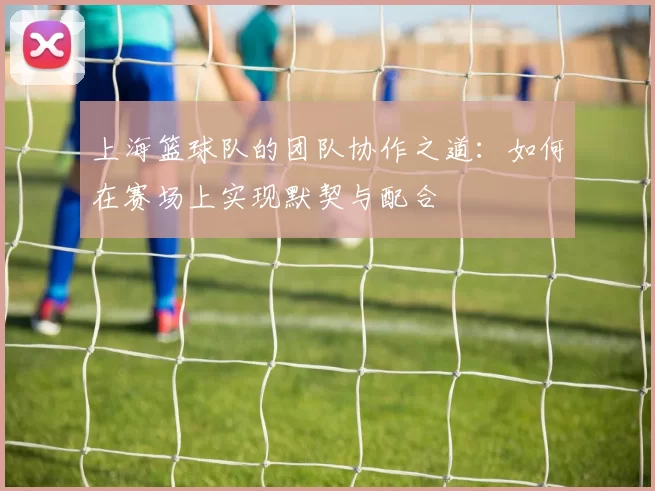 上海篮球队的团队协作之道：如何在赛场上实现默契与配合