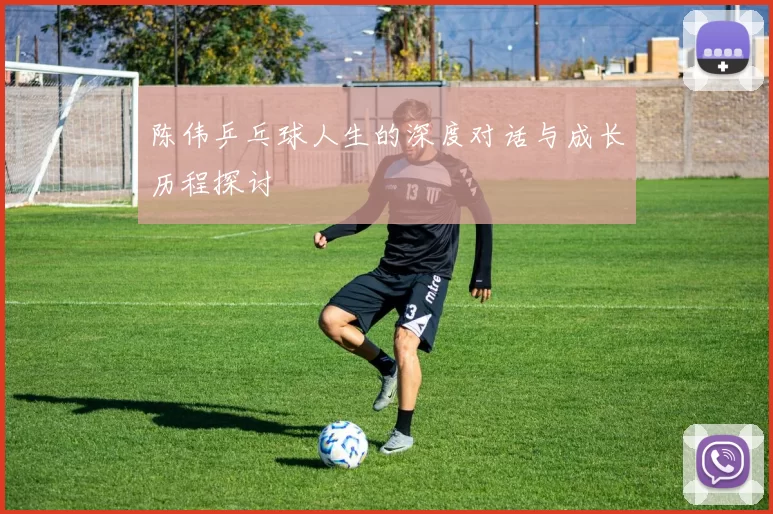 陈伟乒乓球人生的深度对话与成长历程探讨