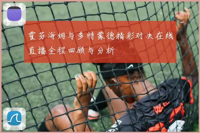 霍芬海姆与多特蒙德精彩对决在线直播全程回顾与分析