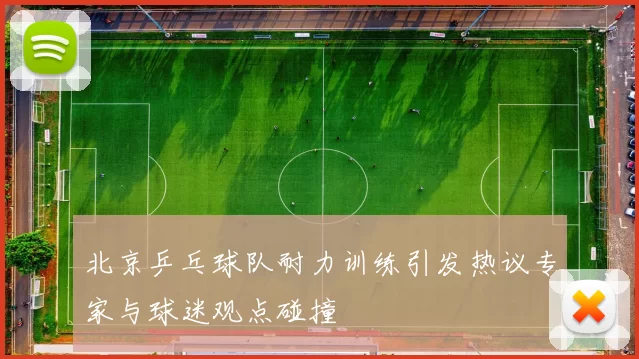 北京乒乓球队耐力训练引发热议专家与球迷观点碰撞