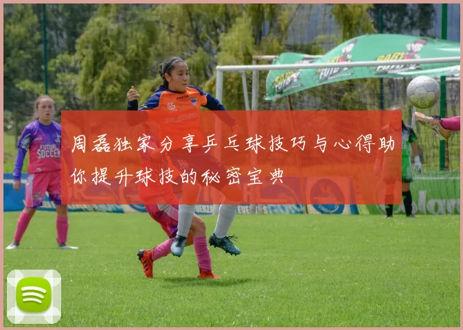 周磊独家分享乒乓球技巧与心得助你提升球技的秘密宝典