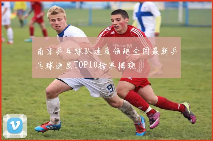 南京乒乓球队速度领跑全国最新乒乓球速度TOP10榜单揭晓