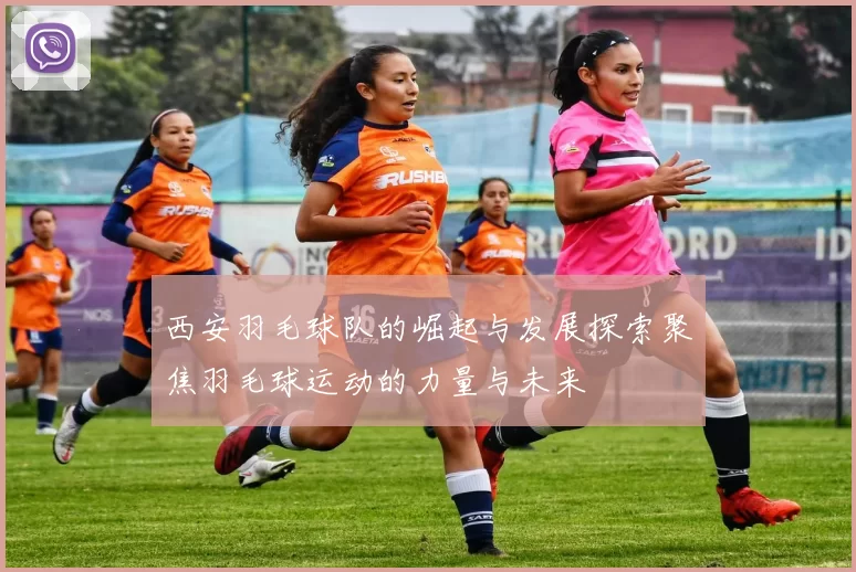 西安羽毛球队的崛起与发展探索聚焦羽毛球运动的力量与未来