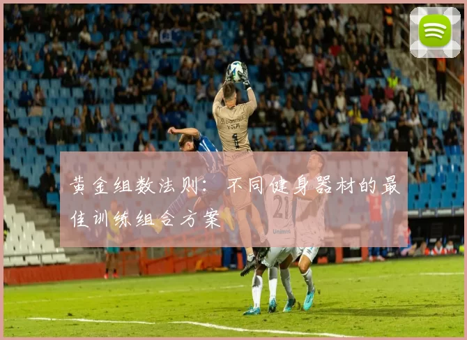 黄金组数法则：不同健身器材的最佳训练组合方案