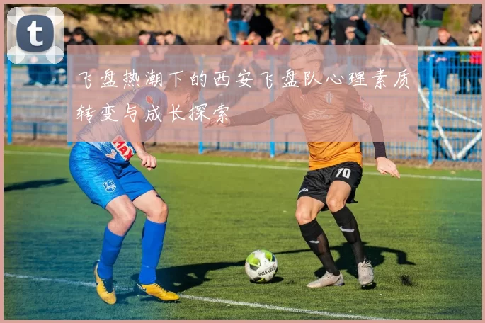 飞盘热潮下的西安飞盘队心理素质转变与成长探索
