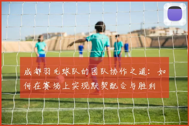 成都羽毛球队的团队协作之道：如何在赛场上实现默契配合与胜利