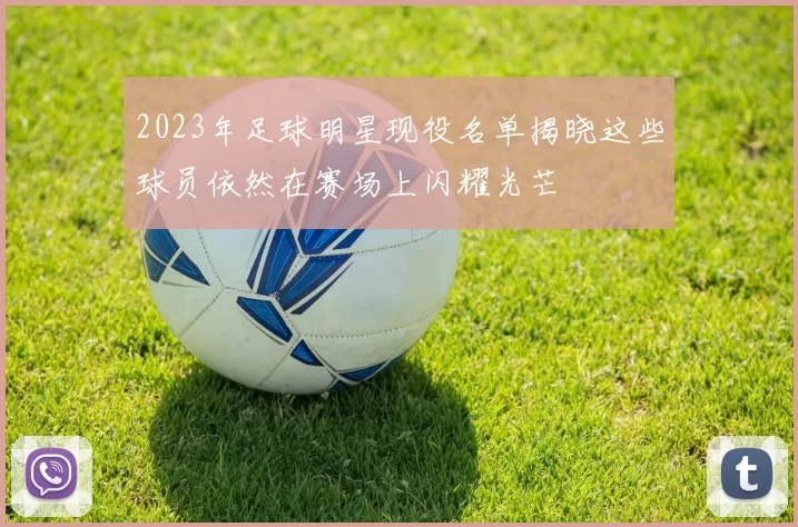 2023年足球明星现役名单揭晓这些球员依然在赛场上闪耀光芒
