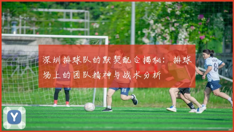 深圳排球队的默契配合揭秘：排球场上的团队精神与战术分析