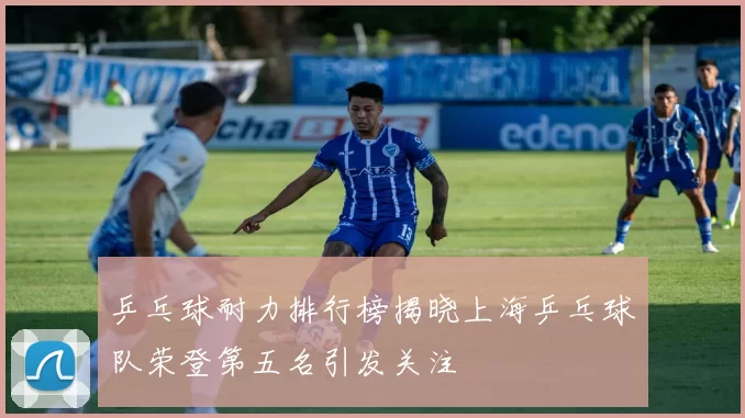乒乓球耐力排行榜揭晓上海乒乓球队荣登第五名引发关注