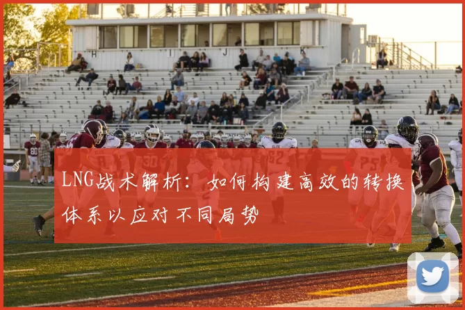 LNG战术解析：如何构建高效的转换体系以应对不同局势