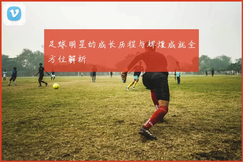 足球明星的成长历程与辉煌成就全方位解析