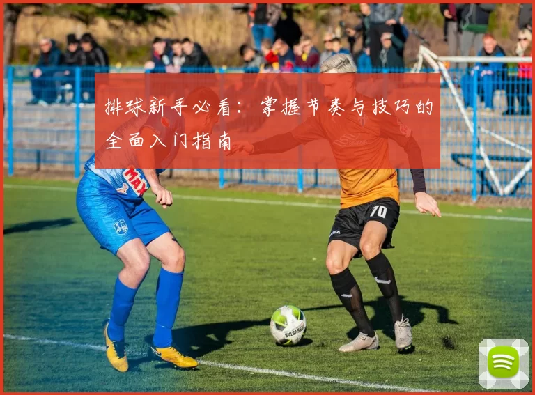 排球新手必看：掌握节奏与技巧的全面入门指南