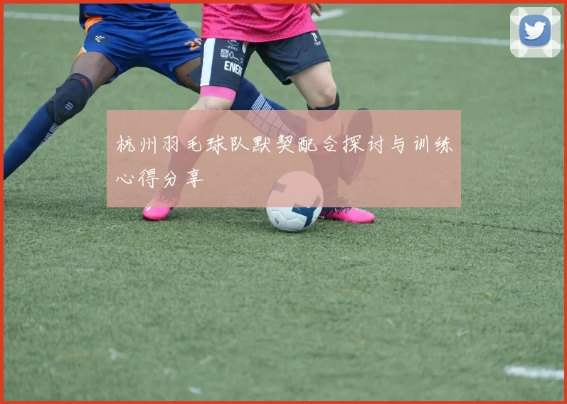 杭州羽毛球队默契配合探讨与训练心得分享